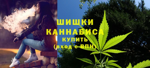 амф Осташков