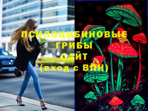 амф Осташков