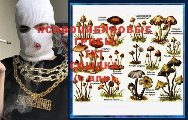 прущие крисы Осинники