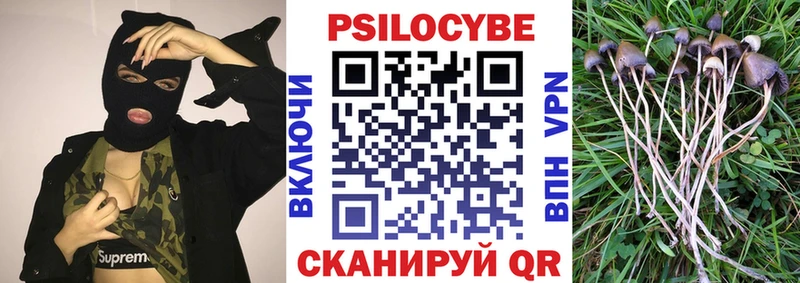 Псилоцибиновые грибы Magic Shrooms  Купить где  Павловский Посад 